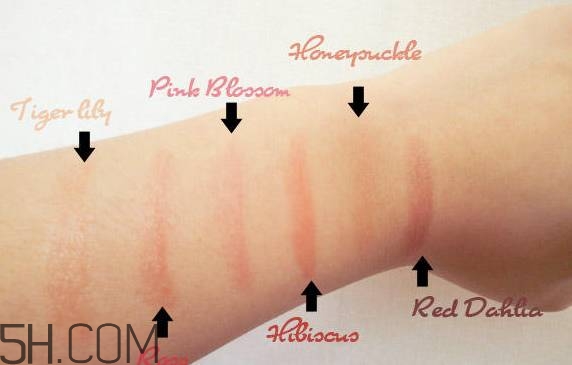 口紅是用什么做的？可以吃的口紅品牌推薦