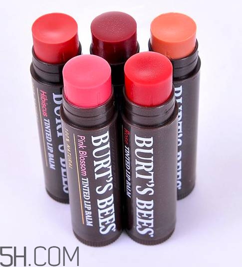 口紅是用什么做的？可以吃的口紅品牌推薦