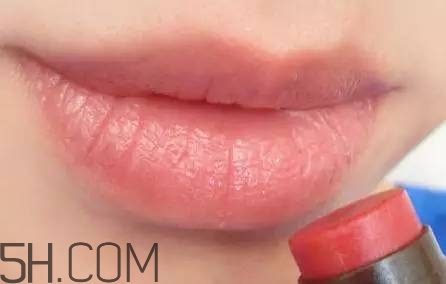 口紅是用什么做的？可以吃的口紅品牌推薦