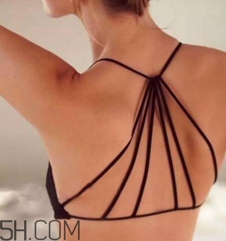 2018內(nèi)衣品牌排行榜 2018文胸品牌十強 2018內(nèi)衣品牌排行榜 2018文胸品牌十強