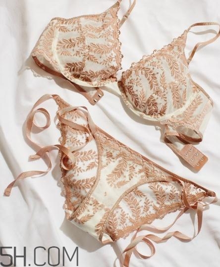 2018內(nèi)衣品牌排行榜 2018文胸品牌十強 2018內(nèi)衣品牌排行榜 2018文胸品牌十強