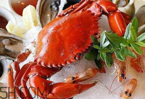 貼三九貼能吃藥嗎 貼三九貼能吃海鮮嗎 貼三九貼能吃藥嗎 貼三九貼能吃海鮮嗎