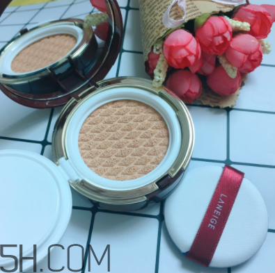 蘭芝氣墊霜控油嗎？蘭芝氣墊霜適合油皮嗎？