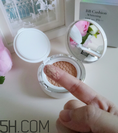 蘭芝啞光氣墊霜哪個色號適合黃皮？使用心得