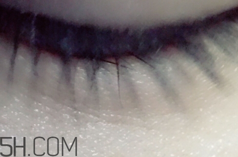 雅頓和嬌韻詩哪個(gè)好用？伊麗莎白雅頓和嬌韻詩哪個(gè)檔次高