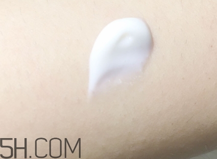 雅頓和資生堂哪個好用？伊麗莎白雅頓和資生堂對比