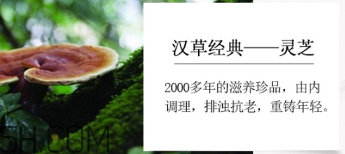 羽西小鮮瓶安瓶怎么用？羽西小鮮瓶安瓶怎么樣