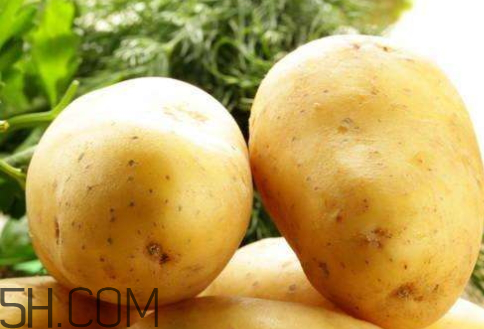 2018年土豆價格會怎么樣 2018年土豆多少錢一斤 2018年土豆價格會怎么樣 2018年土豆多少錢一斤