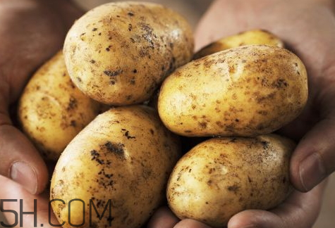 2018年土豆價格會怎么樣 2018年土豆多少錢一斤 2018年土豆價格會怎么樣 2018年土豆多少錢一斤