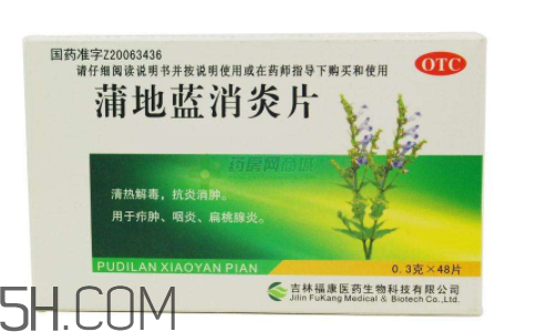 蒲地藍消炎片是消炎藥嗎?蒲地藍消炎片是中成藥嗎? 蒲地藍消炎片是消炎藥嗎?蒲地藍消炎片是中成藥嗎?