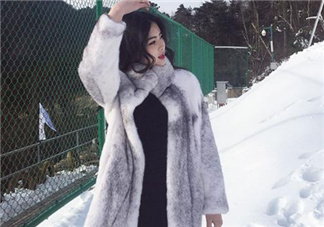 十字貂什么顏色最貴？十字貂價格