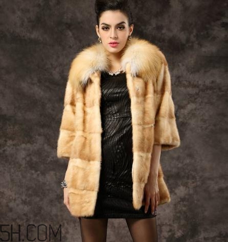 黃金貂是什么？黃金貂和水貂哪個(gè)好？