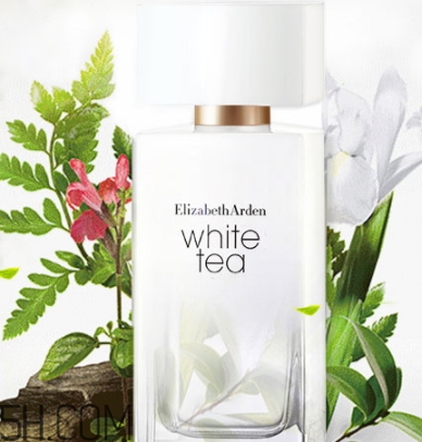雅頓白茶香水和綠茶香水哪個(gè)好聞？