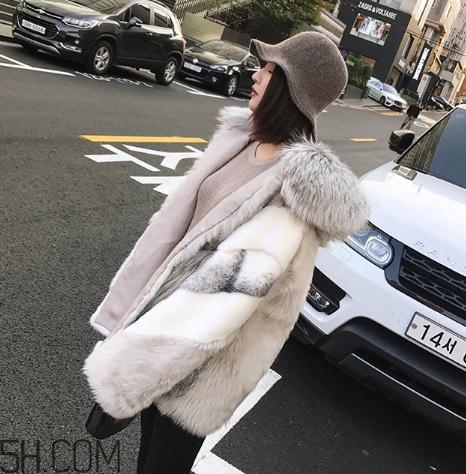 十字貂和水貂哪個好？十字貂和水貂哪個貴？