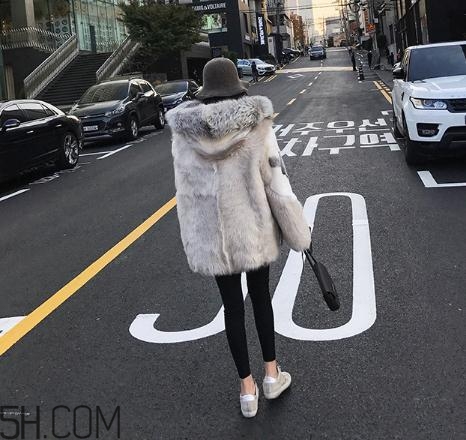 十字貂和水貂哪個好？十字貂和水貂哪個貴？