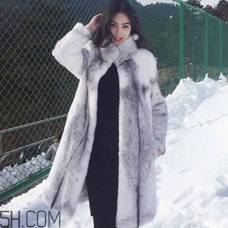 十字貂什么顏色最貴？十字貂價格