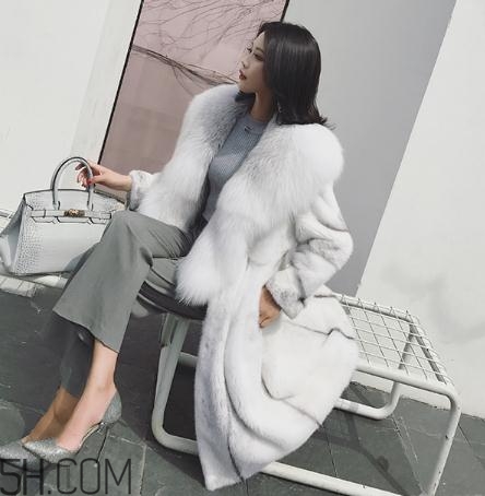 整貂好還是拼貂好？整貂和拼貂的差別