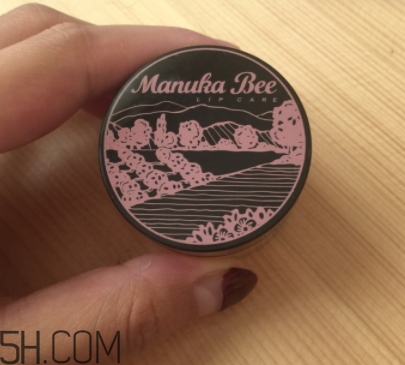 2018年唇部磨砂膏哪個(gè)牌子好？2018唇部磨砂膏推薦