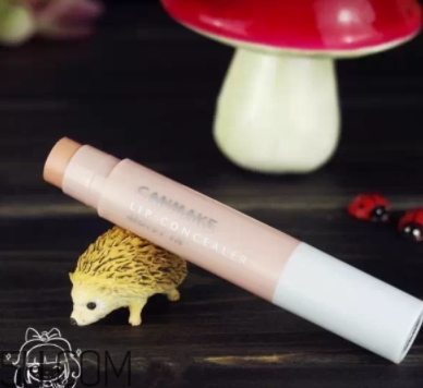 2018年唇部遮瑕膏哪個牌子好？2018唇部遮瑕膏排行榜前十強(qiáng)