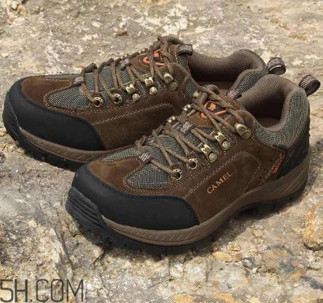 駱駝是什么牌子？駱駝是什么檔次？