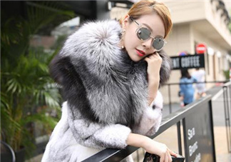 丹麥貂好還是美國貂好？丹麥貂和美國貂的區(qū)別