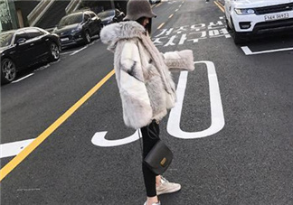 十字貂和水貂哪個好？十字貂和水貂哪個貴？