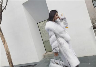 整貂好還是拼貂好？整貂和拼貂的差別