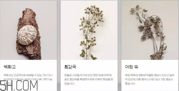 韓律護(hù)膚品怎么樣？韓律全系列介紹