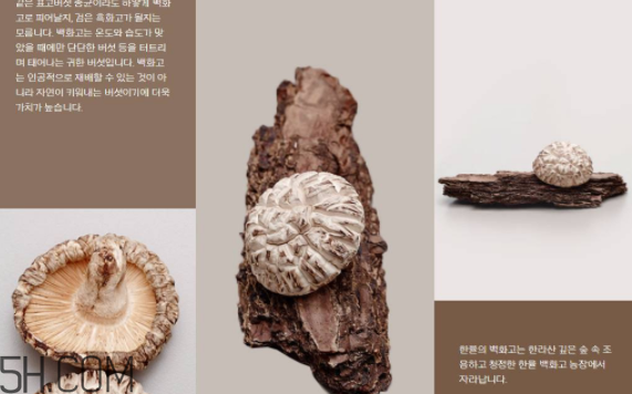 韓律護(hù)膚品怎么樣？韓律全系列介紹