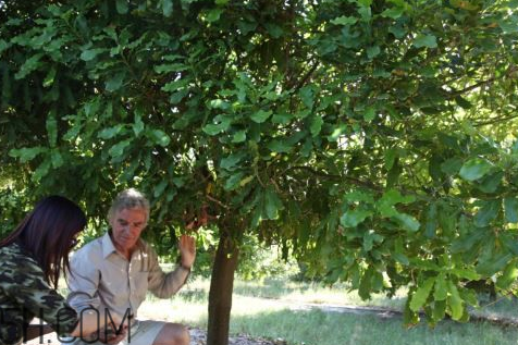 果本是國(guó)產(chǎn)牌子嗎？果本和詩(shī)婷露雅什么關(guān)系？