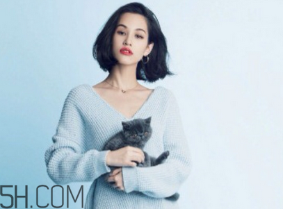 雪花秀和蘭芝哪個好用？雪花秀在韓國屬于什么檔次？