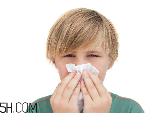 哪些藥品含有馬來酸氯苯那敏原料藥制劑？