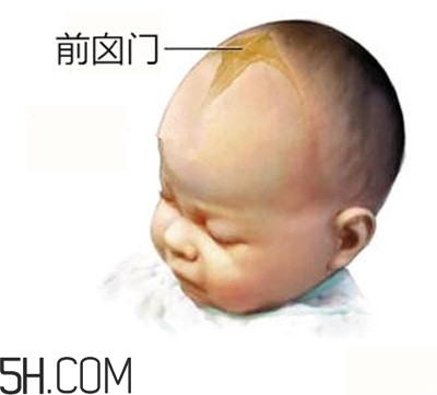 寶寶囟門是怎樣的一個(gè)部位？寶寶的囟門要怎樣保護(hù)比較好？