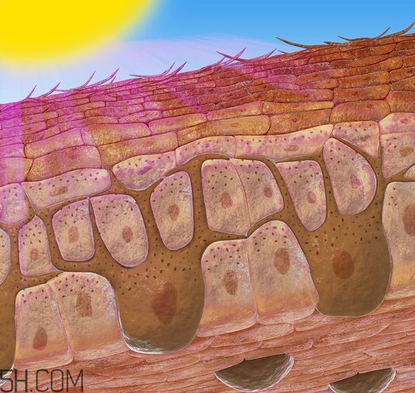 經(jīng)期小腹墜脹怎么辦？經(jīng)期小腹墜脹怎么回事？