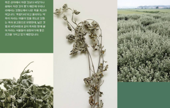 韓律護(hù)膚品怎么樣？韓律全系列介紹