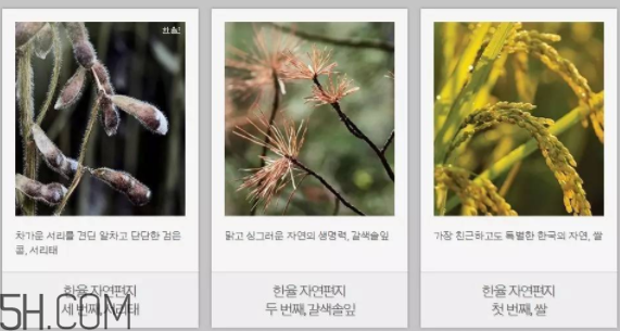 韓律護(hù)膚品怎么樣？韓律全系列介紹