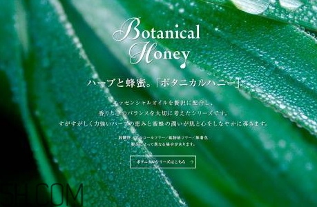 vecua是什么牌子？vecua honey是哪國的什么檔次