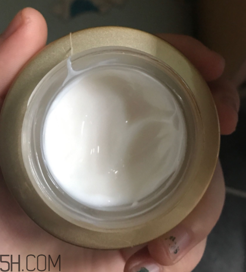 詩婷露雅蝸牛面霜適合秋冬嗎？適合油皮嗎？