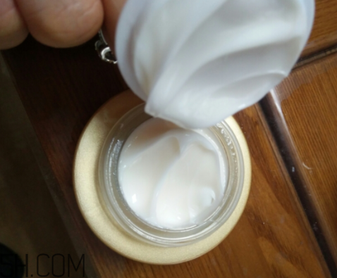 詩婷露雅蝸牛面霜適合秋冬嗎？適合油皮嗎？