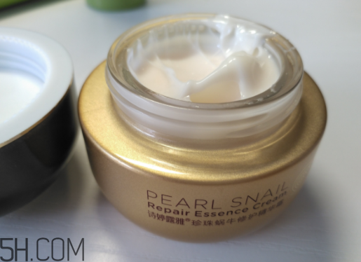 詩婷露雅蝸牛面霜適合秋冬嗎？適合油皮嗎？