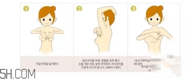 常見的豐胸湯有哪些？女人豐胸湯有哪些？