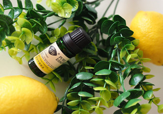 檸檬精油的功效有哪些？檸檬精油有什么功效？