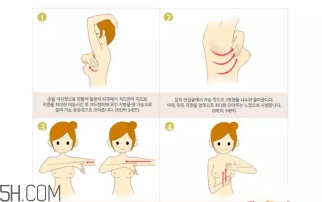 常見的豐胸湯有哪些？女人豐胸湯有哪些？