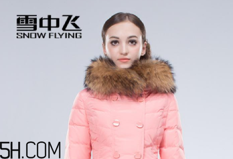 最貴的羽絨服什么價(jià)格？羽絨服什么牌子的好？