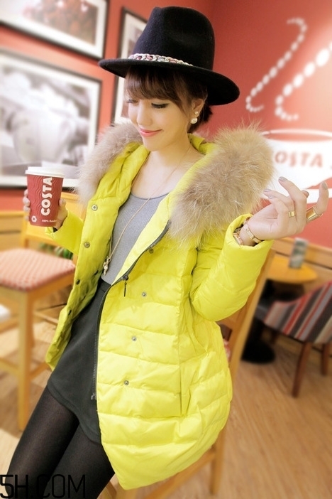 最貴的羽絨服什么價(jià)格？羽絨服什么牌子的好？