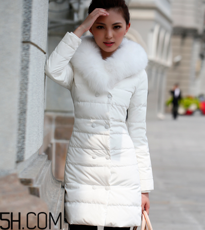 最貴的羽絨服什么價(jià)格？羽絨服什么牌子的好？