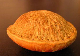 壯陽(yáng)果什么時(shí)候成熟 壯陽(yáng)果幾月成熟