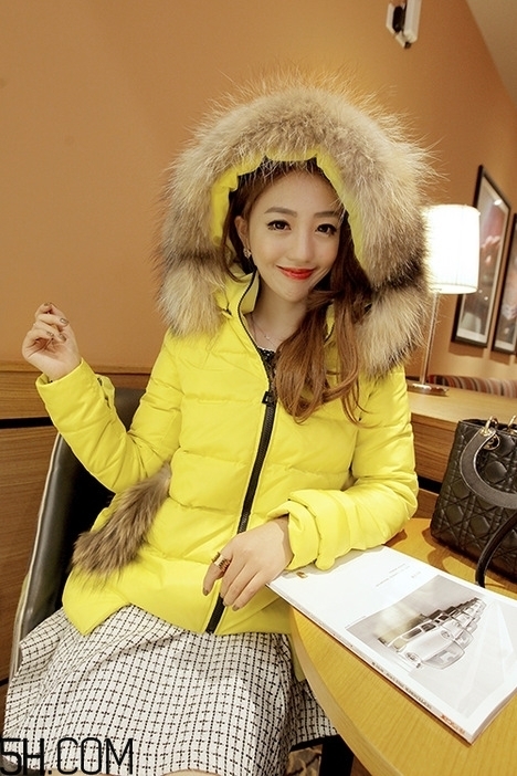 最貴的羽絨服什么價(jià)格？羽絨服什么牌子的好？