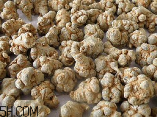 三七粉苦的好還是不苦的好？三七粉越苦越好嗎？