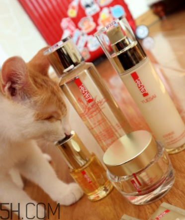 羽西蟲草新肌水有什么功效？適合什么膚質(zhì)？